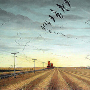 HEADIN' FOR THE STUBBLE by Les Kouba was the 1985 Minnesota Ducks Unlimited Sponsor Artist of the Year Painting. The image size is 18″ X 26″ plus full margins. It is a pencil signed Artist’s Proof from the estate of the artist.