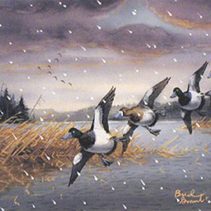 TIME TO LEAVE by Les Kouba and Bud Grant is a great Bluebill print pencil signed by both Les Kouba and Bud Grant. The image size is 12 1/2″ X 20″ plus full margins.