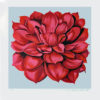 DAHLIA from STAMP SUITE by Lowell Nesbitt consists of four (4) serigraphs. The image size of each print is approximately is 24 3/4" X 22 3/4" plus full margins.   The edition size is 250.