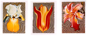 Electric Iris, Tulip, Liky Suite of 3 by Lowell Nesbitt