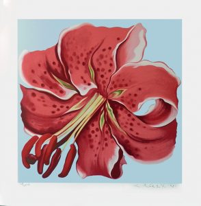 LILY from STAMP SUITE by Lowell Nesbitt consists of four (4) serigraphs. The image size of each print is approximately is 24 3/4" X 22 3/4" plus full margins.   The edition size is 250.