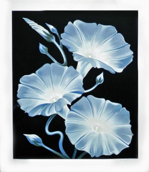 MORNING GLORIES by Lowell Nesbitt is a pencil signed and numbered serigraph. The image size is 38" X 30" plus full margins and the edition size is 175.