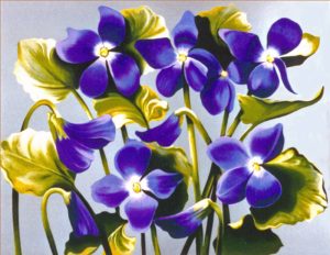 VIOLA ADORATA by Lowell Nesbitt is a large serigraph. The image size is 30" X 38" plus full margins. This print was published in edition of 250.