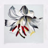 WHITE LILY ON WHITE by Lowell Nesbitt is a limited edition serigraph. The image size is 26" X 26" plus full margins. The edition size is 200. 