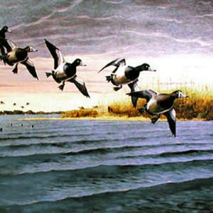 BILLS VISIT LONG POINT by Les Kouba was the '1995 WI Ducks Unlimited' Print of the Year. The image is 16″ X 23 1/2″. It is a pencil signed Artist’s Proof.