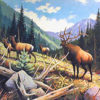 ELK COUNTRY by Les Kouba is a print that was published in 1976 in an edition of 1200. The image size is 17″ X 24″ plus full margins. It is pencil signed and numbered by the artist.