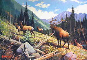 ELK COUNTRY by Les Kouba is a print that was published in 1976 in an edition of 1200. The image size is 17″ X 24″ plus full margins. It is pencil signed and numbered by the artist.