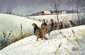 HUNGARIAN PARTRIDGE WINTER RETREAT by Les Kouba is an print published in 1986 in an edition of 2000. The image size is 12 1/2" X 19 1/4" plus full margins.