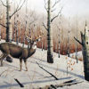 WHITETAIL COUNTRY by Les Kouba is a print published in 1993 with an image size of 13" X 19 3/4" plus full margins. It is a  pencil signed Artist’s Proof.