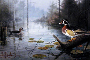 WOOD DUCK POND by Les Kouba is a print published in an edition of 2500. The image size is 7 3/4″ X 11 1/2” plus full margins. It is pencil signed and numbered by the artist.