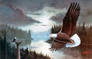 BALD EAGLE'S HOMESTEAD by Les Kouba was published by Les Kouba in 1985 in an edition of 2500. The image size is 12 1/2" X 19 1/4" plus full margins.
