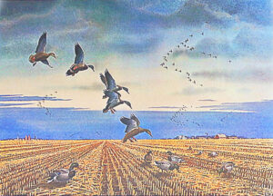 MALLARDS ALA BARLEY by Les Kouba was published in 1975 in an edition of 900. The image size is 17 1/2″ X 24″ plus full margins.
