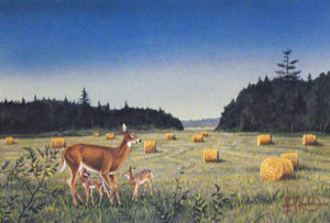 AUGUST IN MINNESOTA by Les Kouba is a print published in 1994 in an edition of 5000. The image size is 13" X 19 1/2” plus full margins.