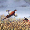 BACK OF THE BARN by Les Kouba is a pheasant print published in an edition of 2000. The image size is 8″ X 12″ plus full margins. It is pencil signed and numbered by the artist. 