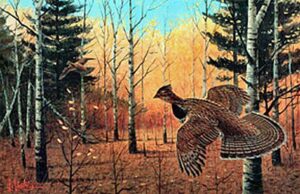 HEARTLAND GROUSE by Les Kouba is a print published in an edition of 5000. The image size is 7 3/4″ X 12″ plus full margins. It is pencil signed and numbered by the artist.