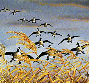 HERE THEY COME by Les Kouba is a print published in 1993 in an edition of 3500. The image size of this print is 8″ X 12” plus wide margins.