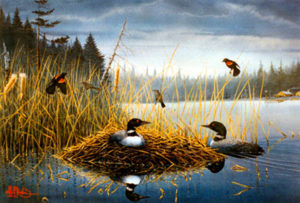 MAY IN MINNESOTA - Loons by Les Kouba is a print published in 1993 in an edition of 5000. The image size is 13″ X 19 1/4″ plus full margins. It is pencil signed and numbered by the Artist.