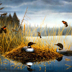 MAY IN MINNESOTA - Loons by Les Kouba is a print published in 1993 in an edition of 5000. The image size is 13″ X 19 1/4″ plus full margins. It is pencil signed and numbered by the Artist.