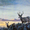 MULE DEER COUNTRY by Les Kouba is a rare print published in 1985 in an edition of only 500. The image size is 8" X 12" plus full margins.