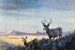 MULE DEER COUNTRY by Les Kouba is a rare print published in 1985 in an edition of only 500. The image size is 8" X 12" plus full margins.