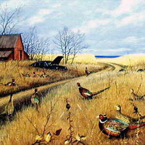 PHEASANT HANGOUT by Les Kouba is a rare print. It was Pheasants Forever 'Print of the Year' 1993 - 94 in an edition of 2000. The image size is 8" X 12”.