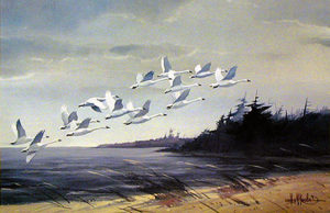 WHISTLING SWANS LEAVING GREEN BAY by Les Kouba is a print published in 1985 in an edition of 2000. The image size is 12 1/4" X 19" plus full margins.