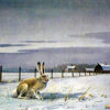 WINTER EVENING by Les Kouba is a print published in an edition of 2000. The image size is 7 3/4" X 12" plus margins. Snowshoe Rabbit in a farmer's field. 