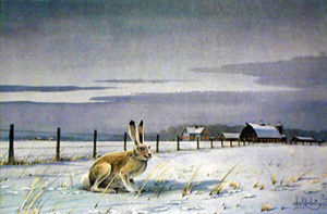 WINTER EVENING by Les Kouba is a print published in an edition of 2000. The image size is 7 3/4" X 12" plus margins. Snowshoe Rabbit in a farmer's field. 