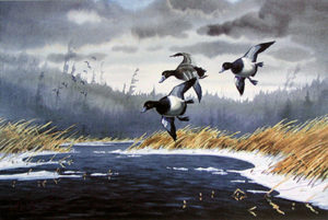 BILLS PAST DUE by Les Kouba was published in 1989 in an edition of 5600 The image size is 16″ X 24″ plus full margins. This print was the Ducks Unlimited 1989 Flyway Collection, Atlantic Flyway.