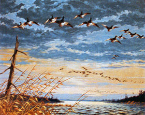 BLUEBILL MIGRATION 1949 by Les Kouba is an offset lithograph published in an edition of 2500. The image size is 15 1/2" X 19 1/2” plus full margins.