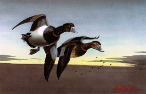 RINGNECKS by Les Kouba is a print published in an edition of 3500 with an image size of 8″ X 12 1/2″ plus full margins.