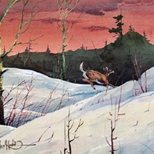 WINTER SOLITUDE by Les Kouba is a print published in an edition of 1500. The image size is 8" X 12" plus full margins. Whitetail Deer.