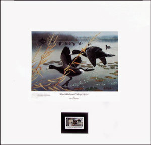 COOT UNLIMITED STAMP PRINT by Les Kouba is a print published with an  image size is 16″ X 16". It is pencil signed but not numbered.
