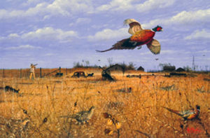 PHEASANT PARADISE by Les Kouba is a print published in an edition of 2000 with an image size of 7 3/4" X 12" plus full margins.